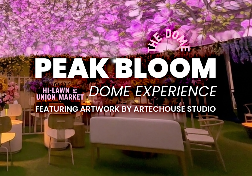 2026 03 17 artechouse dome 01